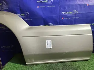 Молдинг двери Rear RS (задний правый)